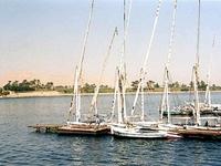 Felucca On The Nile