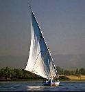Felucca On The Nile