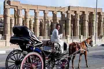 Luxor Horse Carriage Car